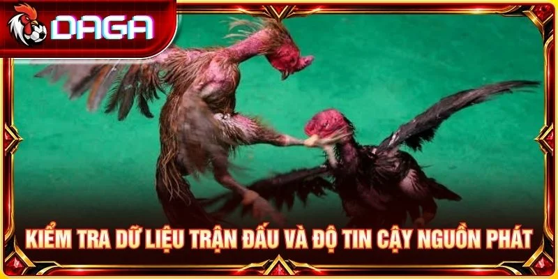 Đá Gà Live Philippines: Góc Nhìn Thực Tế Khi Theo Dõi Kiểm tra dữ liệu trận đấu và độ tin cậy nguồn phát