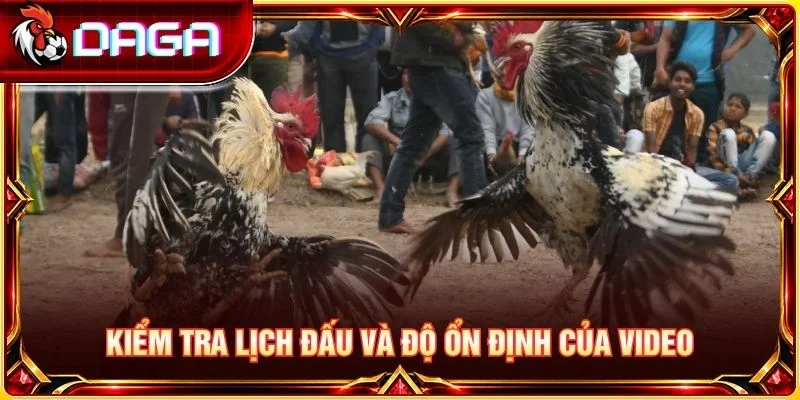 Kiểm tra lịch đấu và độ ổn định của video