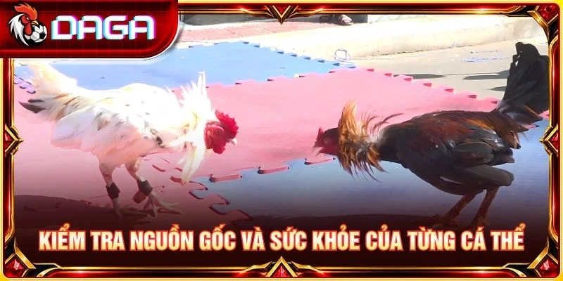 Kiểm tra nguồn gốc và sức khỏe của từng cá thể