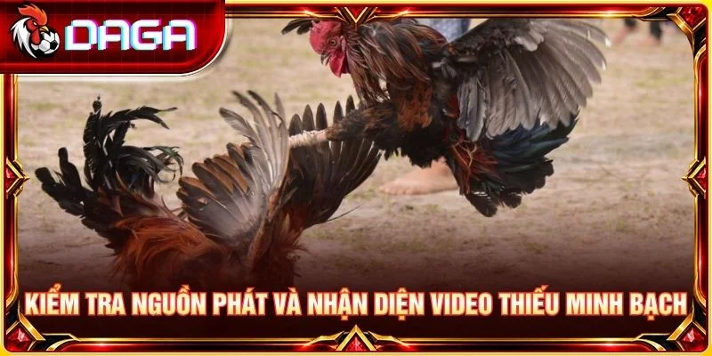 Trường Gà Campuchia: Khám Phá Đấu Trường Và Nét Đặc Trưng Kiểm tra nguồn phát và nhận diện video thiếu minh bạch