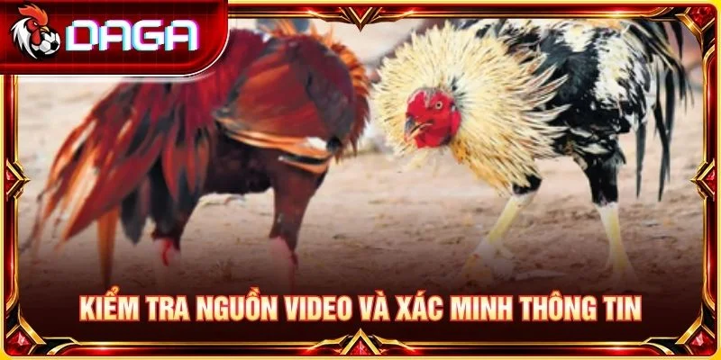 Kiểm tra nguồn video và xác minh thông tin