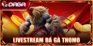 Livestream Đá Gà Thomo: Cách Xem Và Đọc Thế Trận Hiệu Quả