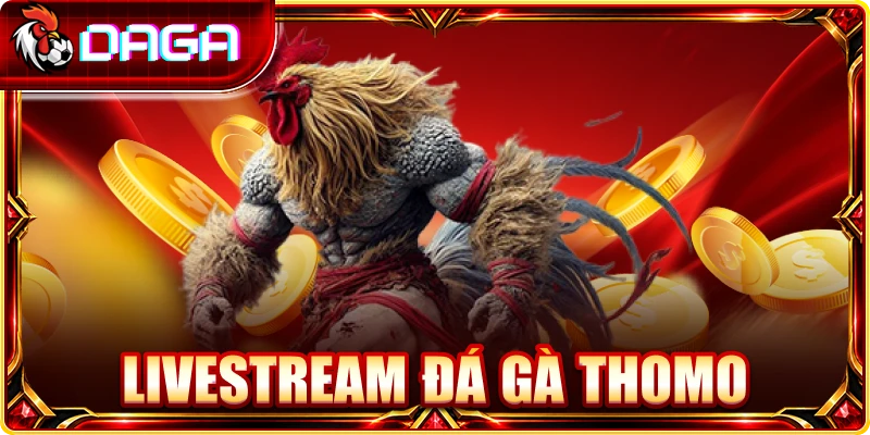 Livestream Đá Gà Thomo: Cách Xem Và Đọc Thế Trận Hiệu Quả