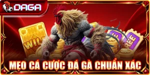 Mẹo cá cược đá gà chuẩn xác