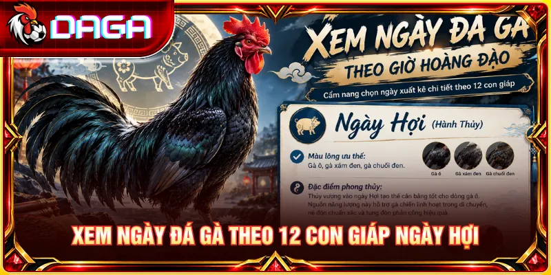 Xem Ngày Đá Gà Theo 12 Con Giáp Chuẩn Phong Thủy Cho Sư Kê Ngày Hợi và cách tra cứu lịch ngày đá gà theo 12 con giáp.