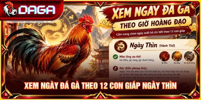 Xem Ngày Đá Gà Theo 12 Con Giáp Chuẩn Phong Thủy Cho Sư Kê Ngày Thìn với những đặc điểm cần biết khi xem lịch đá gà theo 12 con giáp.