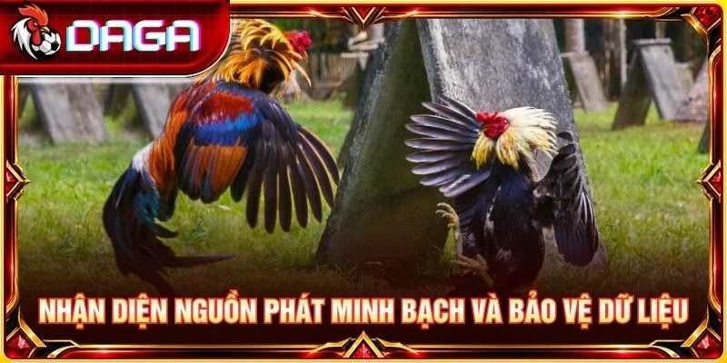 Nhận diện nguồn phát minh bạch và bảo vệ dữ liệu