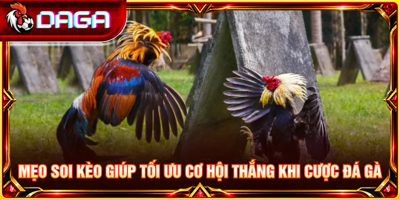 Phân tích tỷ lệ kèo và đánh giá rủi ro trước khi đưa ra lựa chọn.