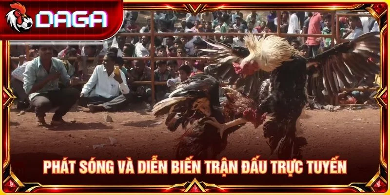 Phát sóng và diễn biến trận đấu trực tuyến