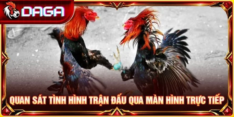 Quan sát tình hình trận đấu qua màn hình trực tiếp