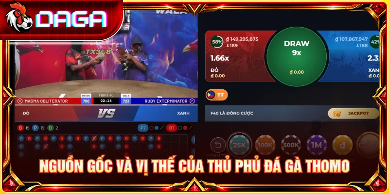 Thomo Campuchia nổi bật với lịch sử hình thành và vị thế trong giới đá gà