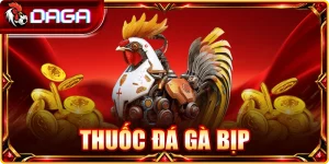 thuốc đá gà bịp