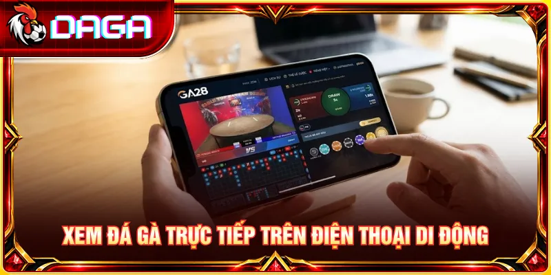 Tìm hiểu nguyên nhân giật lag và cách cải thiện chất lượng xem đá gà trực tiếp.