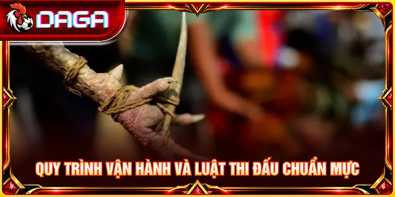 Tìm hiểu quy chuẩn quấn cựa sắt và các bước kiểm tra an toàn trước trận.