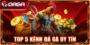 top 5 kênh đá gà uy tín