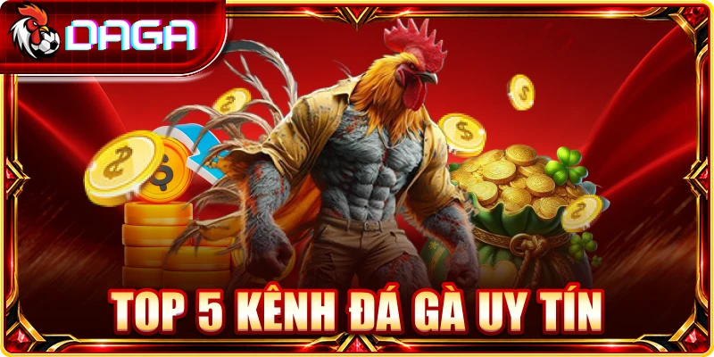 top 5 kênh đá gà uy tín