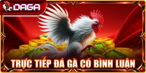 Trực Tiếp Đá Gà Có Bình Luận: Tường Thuật Không Độ Trễ