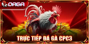 Trực tiếp đá gà CPC3
