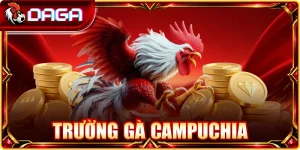 Trường Gà Campuchia: Khám Phá Đấu Trường Và Nét Đặc Trưng