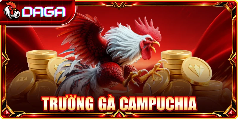 Trường Gà Campuchia: Khám Phá Đấu Trường Và Nét Đặc Trưng Trường Gà Campuchia: Khám Phá Đấu Trường Và Nét Đặc Trưng