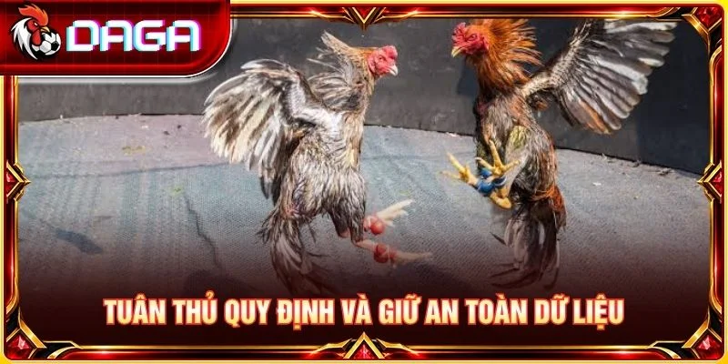 Đá Gà Live Philippines: Góc Nhìn Thực Tế Khi Theo Dõi Tuân thủ quy định và giữ an toàn dữ liệu