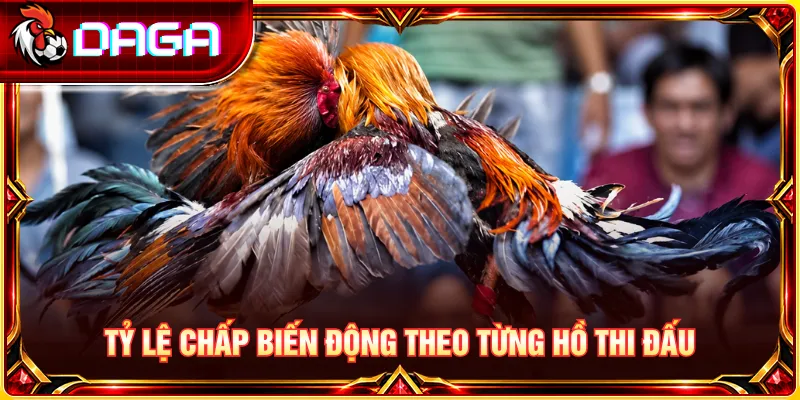 Tỷ lệ chấp tiền thay đổi tùy theo đặc điểm từng hồ thi đấu.