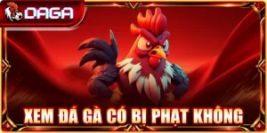 xem đá gà có bị phạt không