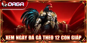 Xem ngày đá gà theo 12 con giáp