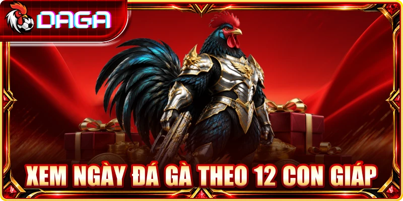 Xem Ngày Đá Gà Theo 12 Con Giáp Chuẩn Phong Thủy Cho Sư Kê Xem ngày đá gà theo 12 con giáp